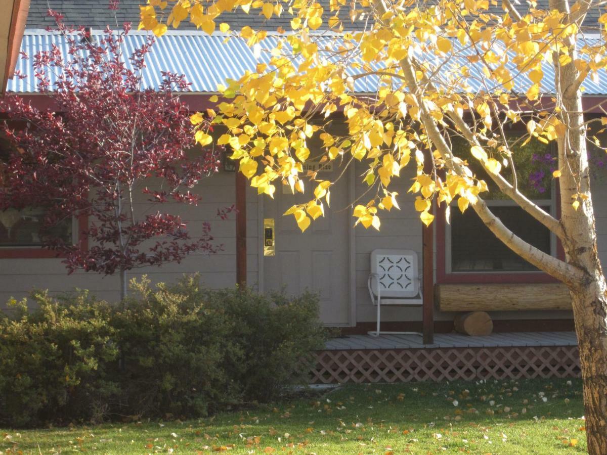 Motel Cozy Pinedale